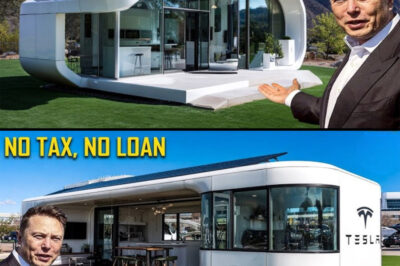 BREAKING NEWS: Elon Musk’s 2026 Tesla Tiny House Redefines Smart Living