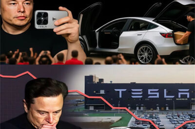 BREAKING: Tesla Model 2 charges itself as Elon Musk unveils a futuristic, ultra-affordable EV that could end gas cars forever.