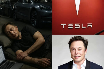 From “bankrupt by summer” to billion-dollar dominance—Elon Musk’s all-night war inside the Tesla factory became the moment the auto world changed forever.