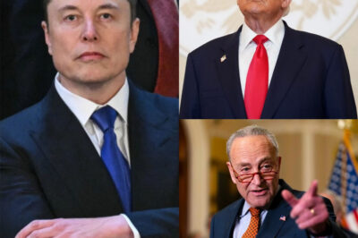 BREAKING: Elon Musk lashes out at the Democrats — claiming they’re deliberately prolonging the shutdown to “import voters” and lock in power. What does this mean for democracy?