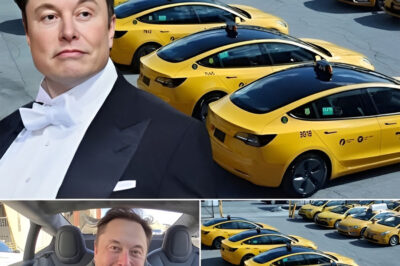 Elon Musk Makes a Bold Move, Rents the World’s Largest Film Studio to Launch His Taxi Fleet!