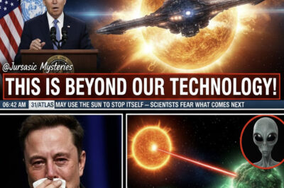 BREAKING: Elon Musk Breaks Down as 3I/ATLAS Hijacks the Sun — Humanity’s Final Countdown Begins…