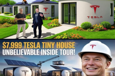 BREAKING: Elon Musk’s $7,999 Tesla Tiny House finally launches in the U.S., offering free land and zero taxes — but is there a catch?