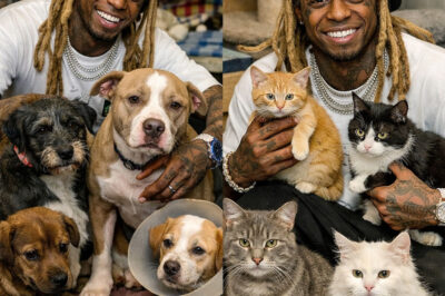 Lil Wayne is creating “Champ’s Retreat” — a six-acre, $5 million sanctuary outside Los Angeles dedicated to abandoned and abused dogs. “This is more than just a shelter,” Lil Wayne said. “We offer training, splash zones, 24/7 veterinary care — but most importantly, love. Dogs are family.” With Champ’s Retreat, Lil Wayne hopes to set a new national standard — inspiring millions of Americans to stand up for animals who cannot speak for themselves.