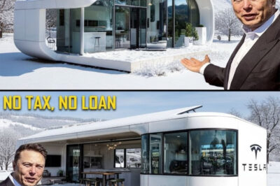 BREAKING NEWS: Elon Musk’s 2026 Tesla Tiny House Redefines Smart Living