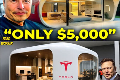 BREAKING: Elon Musk’s $5,579 Tesla Tiny House Could Withstand a Category 5 Hurricane — Fans Stunned!