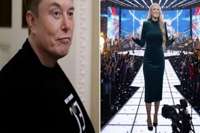 BREAKING: ELON MUSK’S $50 MILLION HALFTIME GAMBLE STUNS AMERICA — AND NOTHING WILL EVER BE THE SAME
