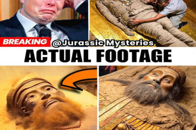 GLOBAL PANIC ERUPTS: Elon Musk Trembles as Gilgamesh’s Tomb Emits Terrifying Energy After Centuries of Burial….