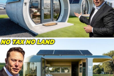 $7,999 Tesla Tiny House Finally Selling! Elon Musk “Free Land & $0 Tax”, Inside COOL!