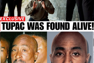 For nearly 30 years, the world believed Tupac Shakur’s ashes were scattered at sea or that he was secretly alive in Cuba. But in 2025, a stunning discovery on a quiet farm in North Carolina shattered every myth. Hidden behind rusty gates and tall trees, a simple rock with a carved name revealed the truth his mother, Afeni, fought to keep secret until her death. This wasn’t just a grave; it was the final piece of a puzzle that involved a family war, missing millions, and a 27-year-old murder mystery that is finally being solved in court. Discover the heartbreaking reality behind the legend.