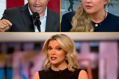 NBC Pulled the Plug — 7 Minutes Later a “Shadow Network” Stepped In and Set Hollywood on Fire.