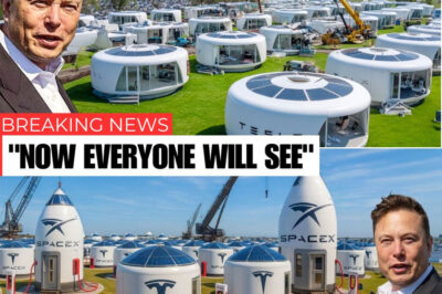 Elon Musk Announces 2026 Tesla Tiny House: What Makes It the SHOCK of Affordable Housing Market?