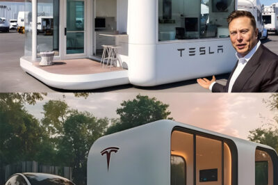THE TESLA HOUSE ERA BEGINS: ELON MUSK UNVEILS A $300,000 SMART HOME THAT THREATENS TO REWRITE THE FUTURE OF HUMAN LIVING