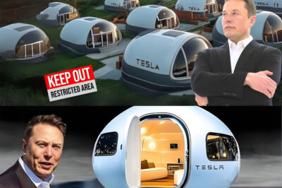 A “Slave City” in Texas? The Controversial Speculation Surrounding Elon Musk’s Rumored New Project