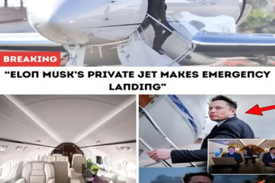 What Happened On Board Is Truly Bizarre