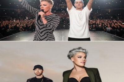 TOO LATE FOR APOLOGIES Eminem and P!nk unleash a no-mercy reckoning as scars reopen, pride collides with regret, and two fearless voices collide in a track that feels less like a song and more like a final warning — raw, defiant, emotionally explosive, and impossible to ignore once the first line hits