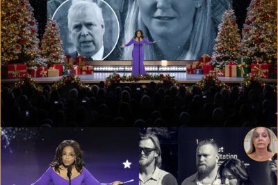 Episode 50 of The Oprah Winfrey Show, airing at 7:30 p.m. on December 22, became “a bomb detonated before Christmas Eve” that shook the entirety of Hollywood.