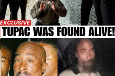 For nearly 30 years, the world believed Tupac Shakur’s ashes were scattered at sea or that he was secretly alive in Cuba. But in 2025, a stunning discovery on a quiet farm in North Carolina shattered every myth. Hidden behind rusty gates and tall trees, a simple rock with a carved name revealed the truth his mother, Afeni, fought to keep secret until her death. This wasn’t just a grave; it was the final piece of a puzzle that involved a family war, missing millions, and a 27-year-old murder mystery that is finally being solved in court. Discover the heartbreaking reality behind the legend.