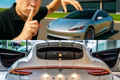 Elon Musk’s Next Shock Move: Is the Tesla Model 2 About to Change Driving Forever?