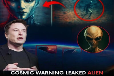 The whole world is shaken: Elon Musk issues a warning after an alien signal sends the message “Enter the universe… you will never return” — scientists and humanity are trembling at the non-physical danger from deep space.