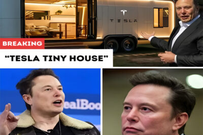 Tesla’s tiny house under $7,999 finally reveals 7 insane off-grid features, and viewers can’t stop talking about the windows alone!
