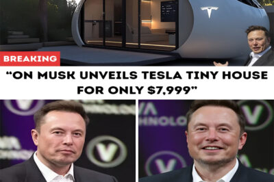 Breaking News — Elon Musk Unveils Tesla Tiny House for Only $7,999