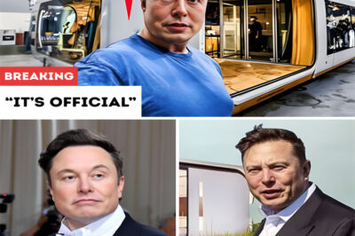 The $10,000 futuristic tiny house from Elon Musk is finally revealed, and what’s inside has everyone talking.