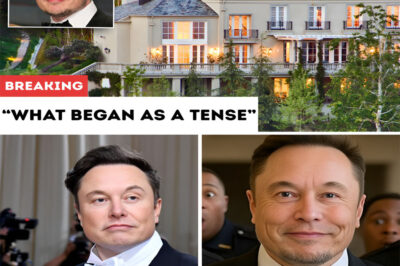 Elon Musk Gets Thrown Out of a Luxury Hotel… So He Buys the Whole Building
