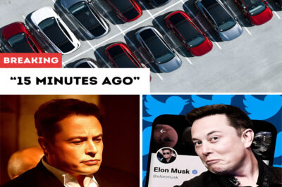 15 Minutes Ago — Tesla Strikes Back with Aggressive Strategy to Counter $7,500 EV Tax Credit Loss, Leaving Rivals on Edge!