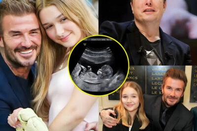 JUST IN: Shocking rumor involving Harper Beckham spreads online, but sources say the truth is far from what social media claims