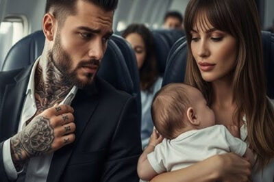 She fled her abu:.sive marriage and boarded a plane, unaware that the man sitting next to her wasn’t just a stranger, but a powerful mafia boss, setting the stage for a dangerous and unexpected encounter.