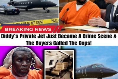 The “Love Air” jet has turned into a total NIGHTMARE! The unsuspecting new owners of Diddy’s private Gulfstream just called the police after finding something “chilling” hidden inside the cabin.