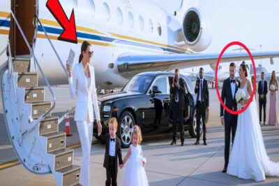 Ex husband thought his ex wife was still poor — until she arrived at his wedding in a billionaire’s jet with his twins