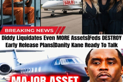 The “Bad Boy” is officially drowning. In a desperate move to survive, Diddy has LIQUIDATED his private jet and reportedly stopped paying his own children! The cash is running out.