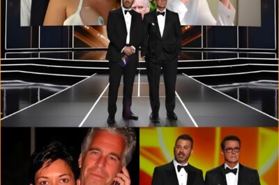 Just a 10-year timeline filled with unexplained gaps. Documents appeared one by one — internal emails, travel records, testimonies removed from public view