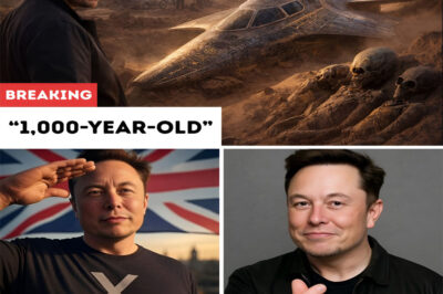 Elon Musk Drops a Bombshell: “The 1,000-Year-Old Aircraft Found in Egypt Is NOT Human” — and He Wants to Restore It Using SpaceX Technology