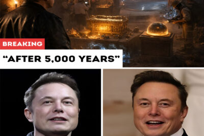 Elon Musk Stunned as King Solomon’s Tomb Is Finally Opened After 5,000 Years