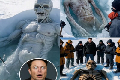 COSMIC APOCALYPSE: 3.6m Fossil in Antarctica — Elon Musk Warns of a Forbidden Truth Too Dangerous for Humanity…