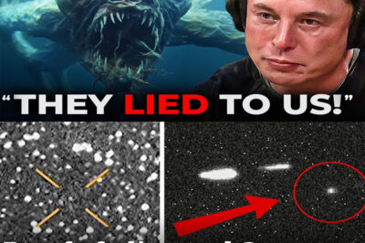 BREAKING: A 7-Mile-Wide Object Nears Earth — Scientists fear a stealth alien vessel, impact possible November 2026, as Elon Musk’s warning of “non-human architectures drifting in the dark” returns like a chilling prophecy.