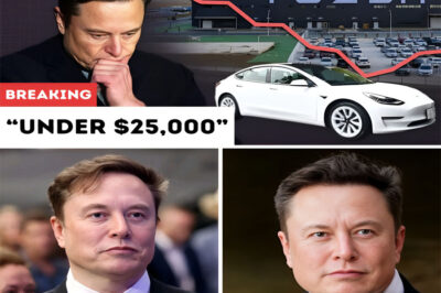 Tesla Model 2 charges itself as Elon Musk unveils a futuristic, ultra-affordable EV that could end gas cars forever.