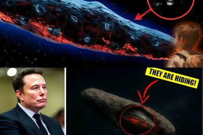 BREAKING NEWS: Social media erupts after viral claims suggest Elon Musk labeled 3I ATLAS an alien craft, igniting fear, disbelief, and nonstop speculation