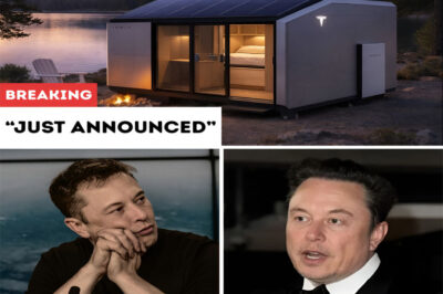 Elon Musk’s Latest Revelation Stuns the World — Leaving Everyone Wondering What His Next Big Move Will Be