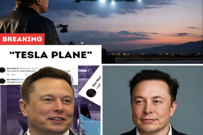 Elon Musk’s $13 Billion “Tesla Plane” Leaves the World Speechless