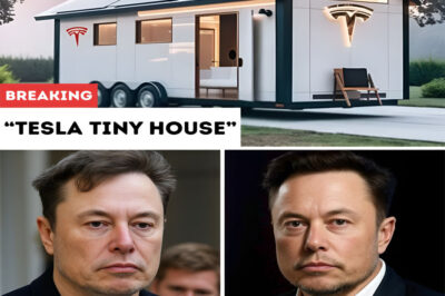 It’s here: the Tesla tiny house has reportedly launched in the U.S., with avant-garde specs, free land offers and zero taxes touted