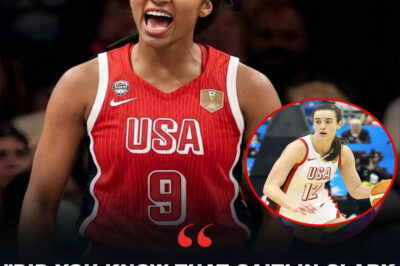 In a moment that instantly set social media on fire, Angel Reese reportedly unleashed a blistering critique of Caitlin Clark during what was supposed to be a routine post-game interview. Cameras rolled, microphones hovered, and what followed was less a standard soundbite and more a full- blown cultural flashpoint-one that left fans, commentators, and even fellow players scrambling to process what they had just heard.