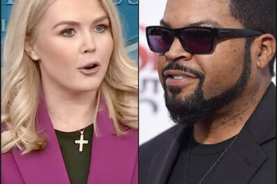 When Karoline Leavitt belittled Ice Cube on live television, mocking him as “just an entertainer living in privilege who doesn’t understand the real world,” no one could have predicted what would happen next