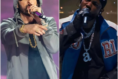 Eminem and Kendrick Lamar: A Night of Appreciation for ICE Agents