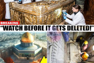 Beneath the Holy Sepulchre: Astonishing Discovery of Jesus’ Tomb and a 2,000-Year-Old Garden Sparks Faith and History Debate, Challenging Beliefs and Unveiling Secrets that Could Redefine Christianity’s Origins and Spiritual Significance!