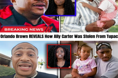 The biggest hip-hop mystery just took a WILD turn! A massive bombshell claims the rap legend faked everything, and his long-lost daughter was secretly hidden in Hollywood! But that’s not even the craziest part… rumors are exploding that his “energy” was secretly passed on to a massive current superstar! The truth they tried to bury is finally leaking…