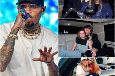 Chris Brown’s Six-Word Comeback That Left the Internet Speechless